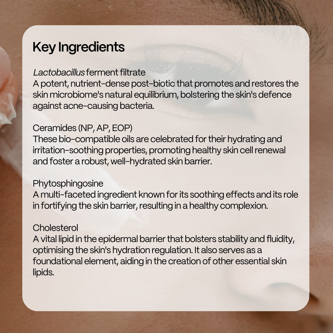 key ingredients for effective acne control and prevention, postbiotics, ceramides, cholesterol